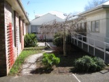 Small rear garden at Aranui rest home